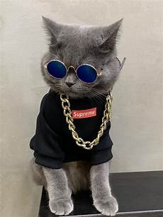 Supreme Jacket